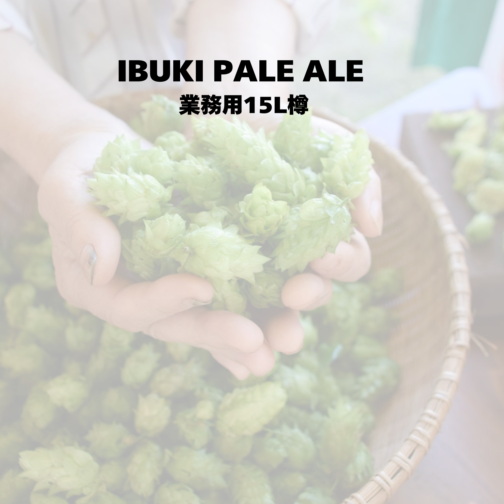 IBUKI PALE ALE_業務用15L樽